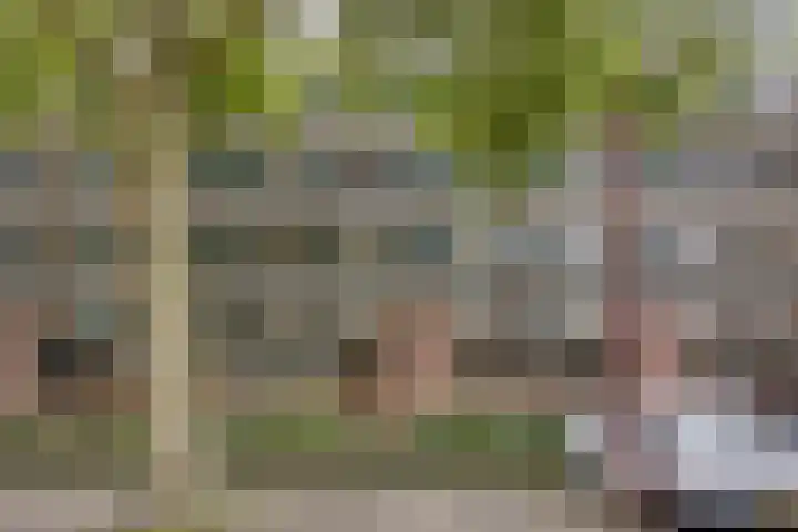 Middelmonde 27 Nieuwegein thumbnail 9