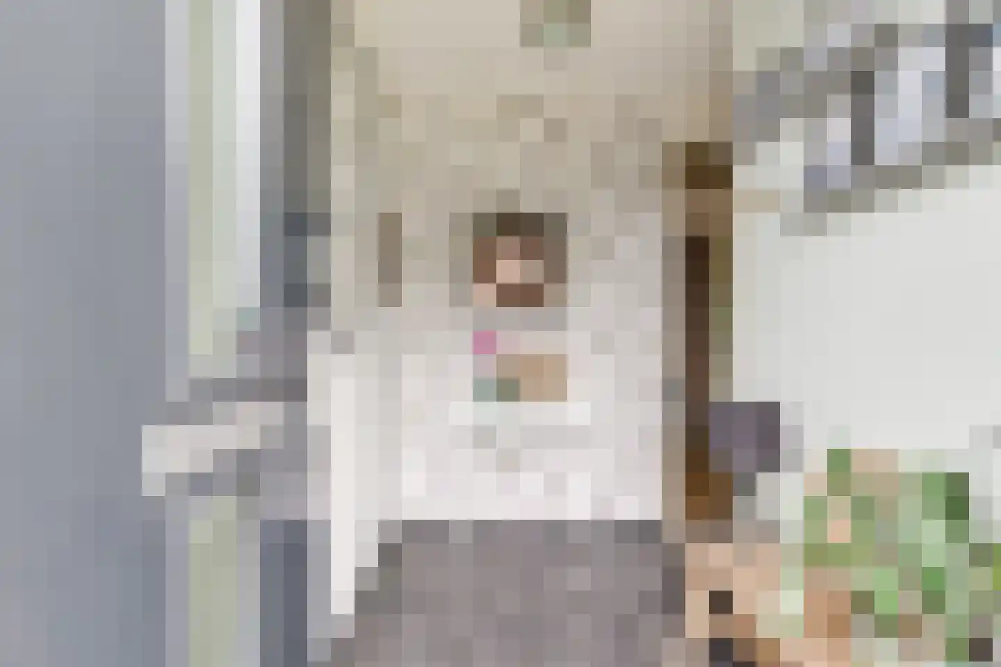 Middeloo 2 Obdam thumbnail 10