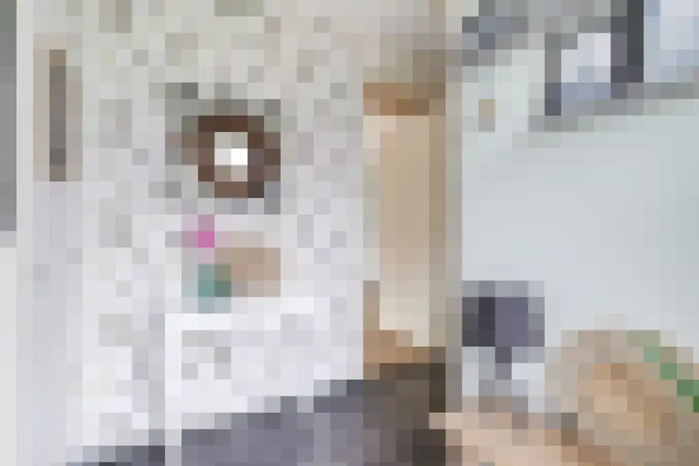 Middeloo 2 Obdam thumbnail 11