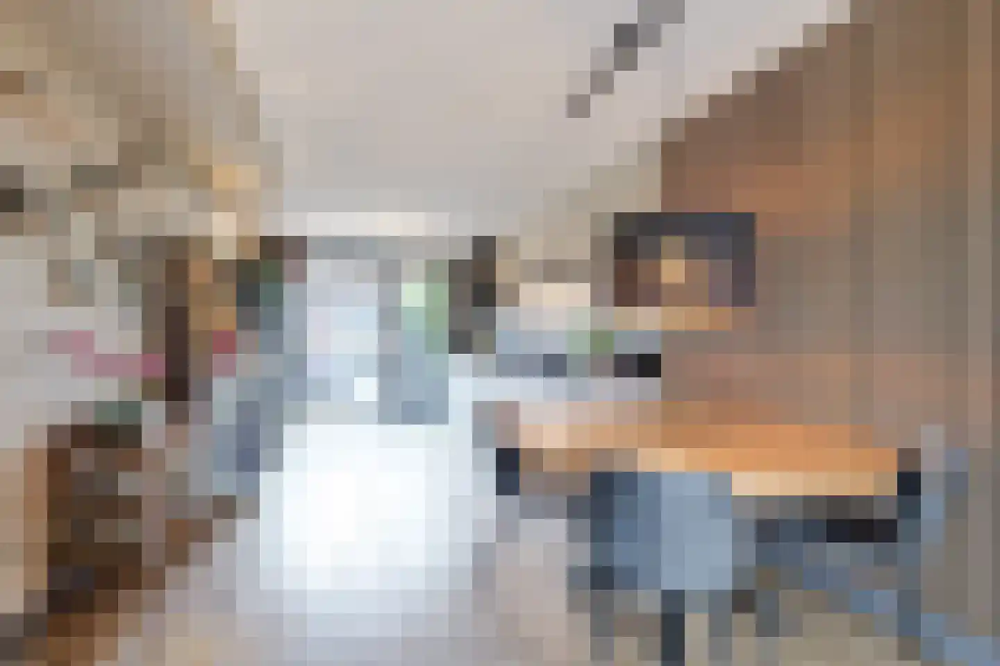 Middeloo 2 Obdam thumbnail 12