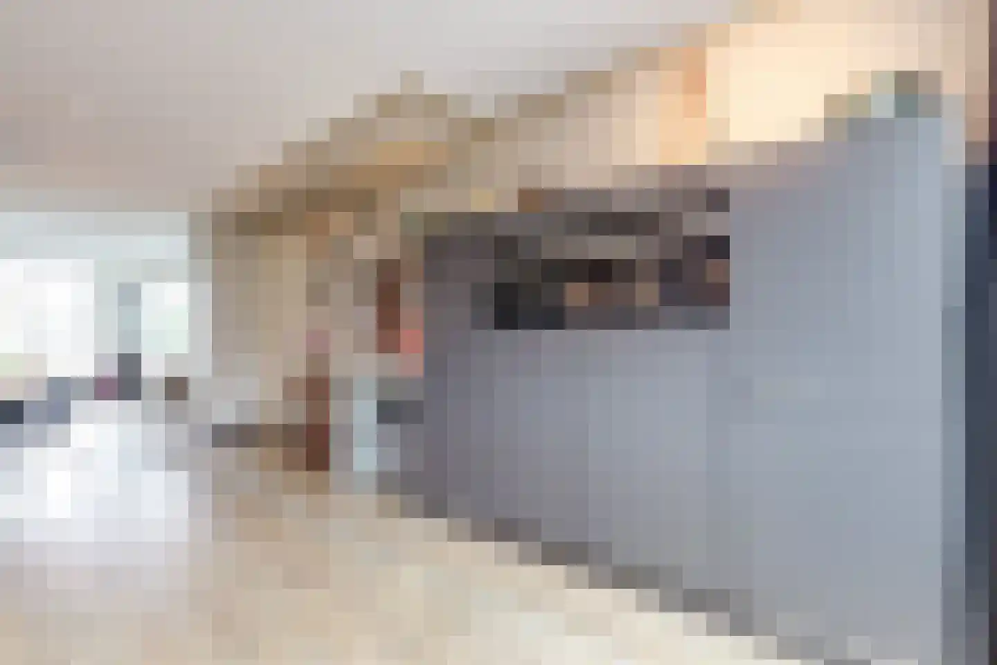 Middeloo 2 Obdam thumbnail 16