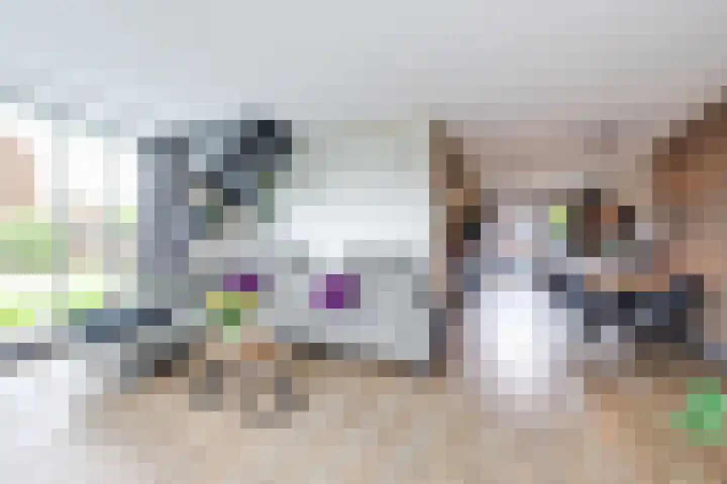 Middeloo 2 Obdam thumbnail 18