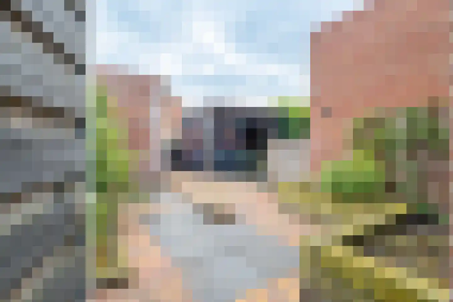 Middeloo 2 Obdam thumbnail 53