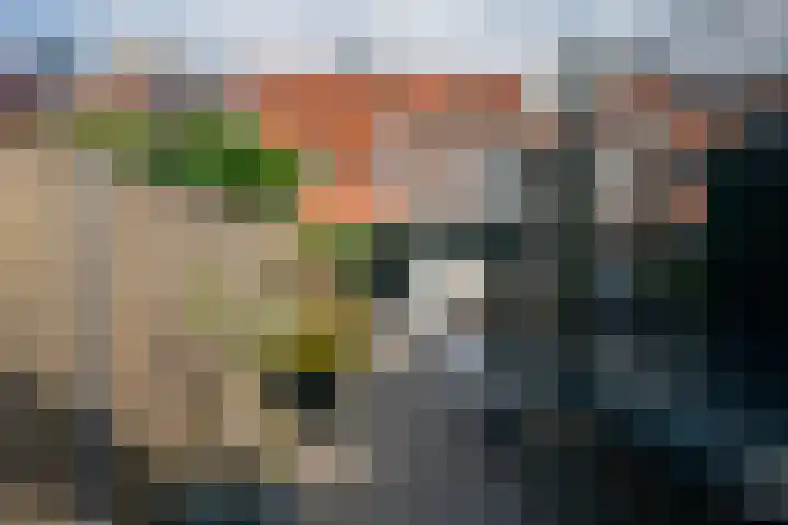 Middeloo 32 Obdam thumbnail 51