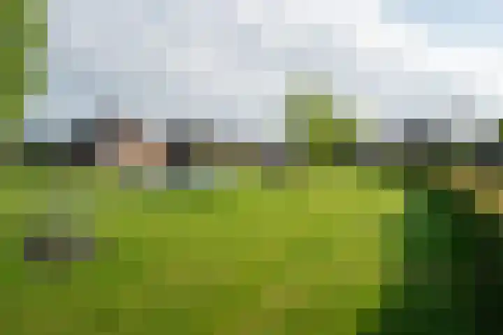 Middeloo 32 Obdam thumbnail 60