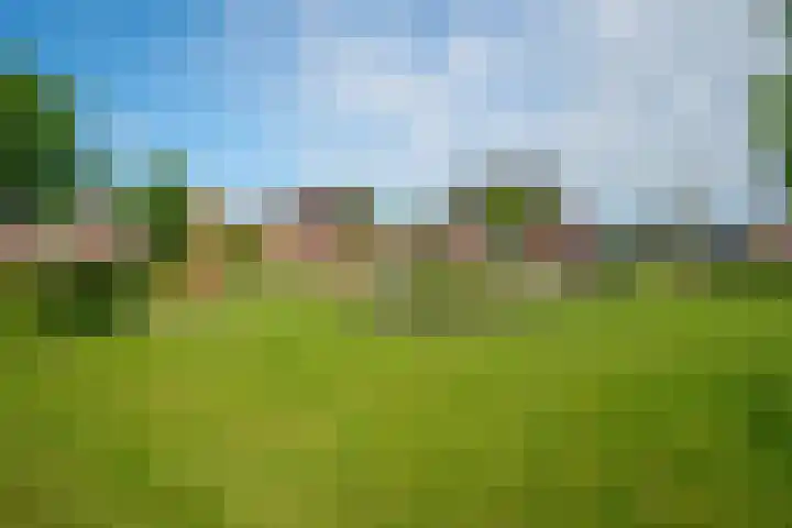 Middeloo 32 Obdam thumbnail 61