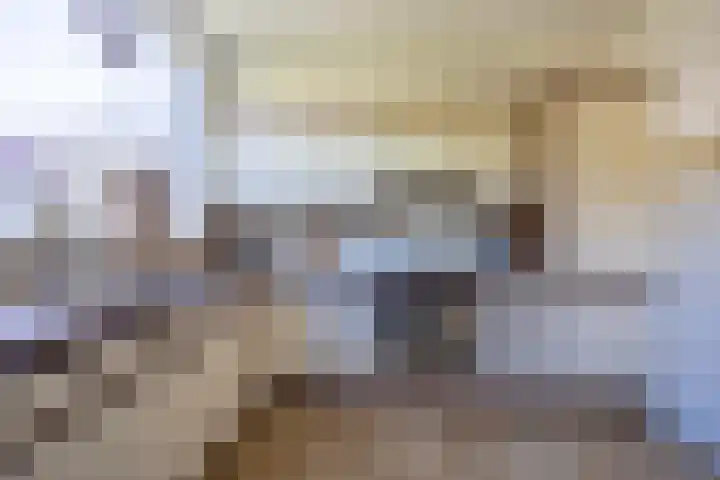 Middeloolaan 15 Driehuis NH thumbnail 12