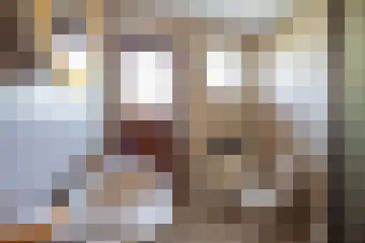 Middeloolaan 15 Driehuis NH thumbnail 21