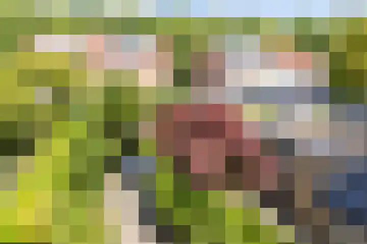 Middeloolaan 15 Driehuis NH thumbnail 25
