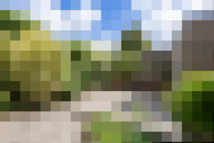 Middeloolaan 15 Driehuis NH thumbnail 35