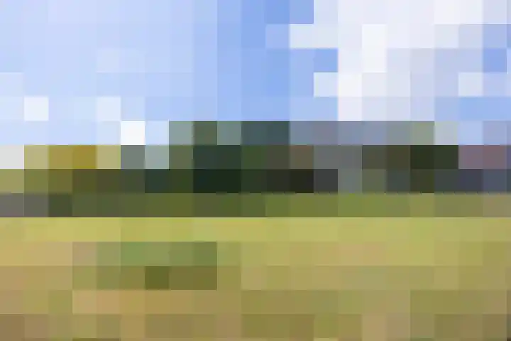 Middeloolaan 15 Driehuis NH thumbnail 38
