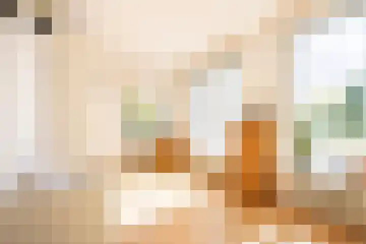 Middeloolaan 15 Driehuis NH thumbnail 5