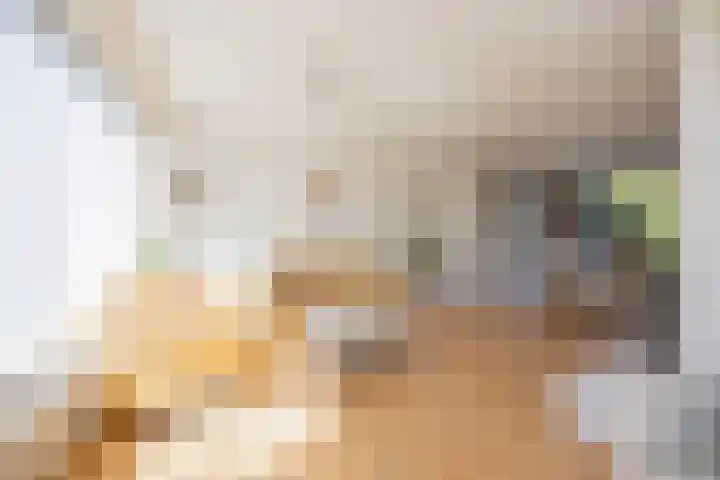 Middeloolaan 15 Driehuis NH thumbnail 6