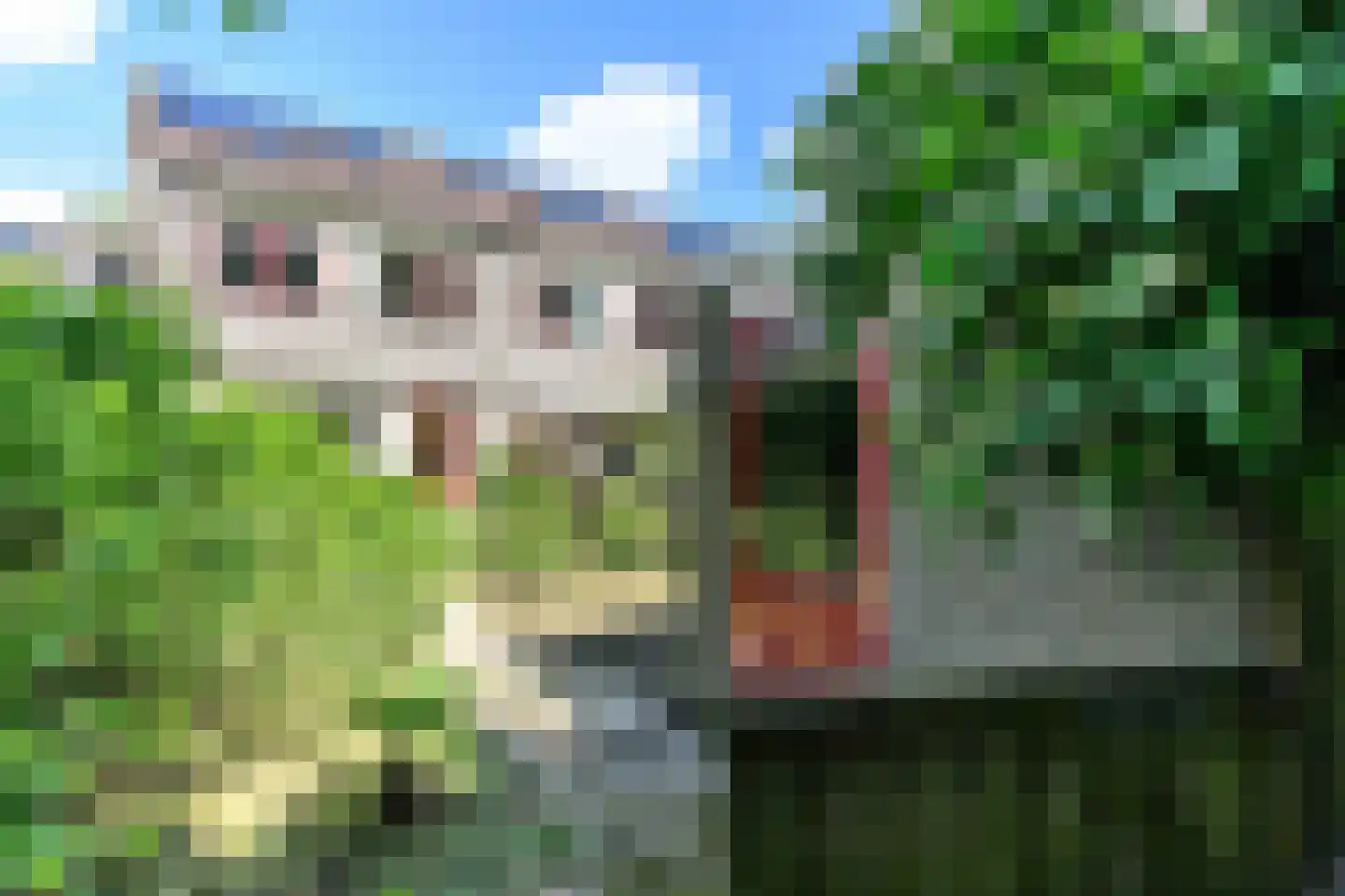 Middelplaat 34 Emmeloord thumbnail 14