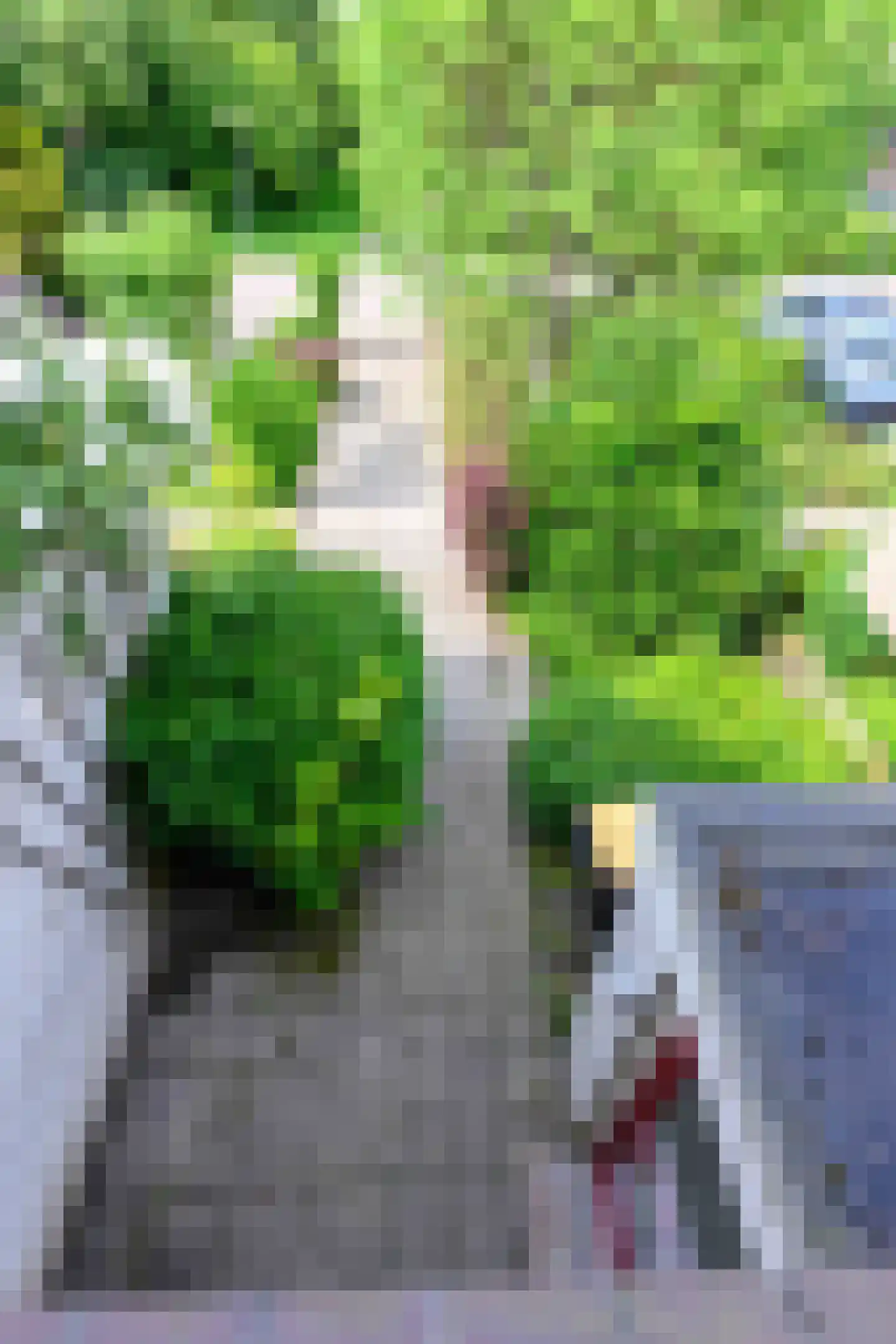 Middelplaat 34 Emmeloord thumbnail 32