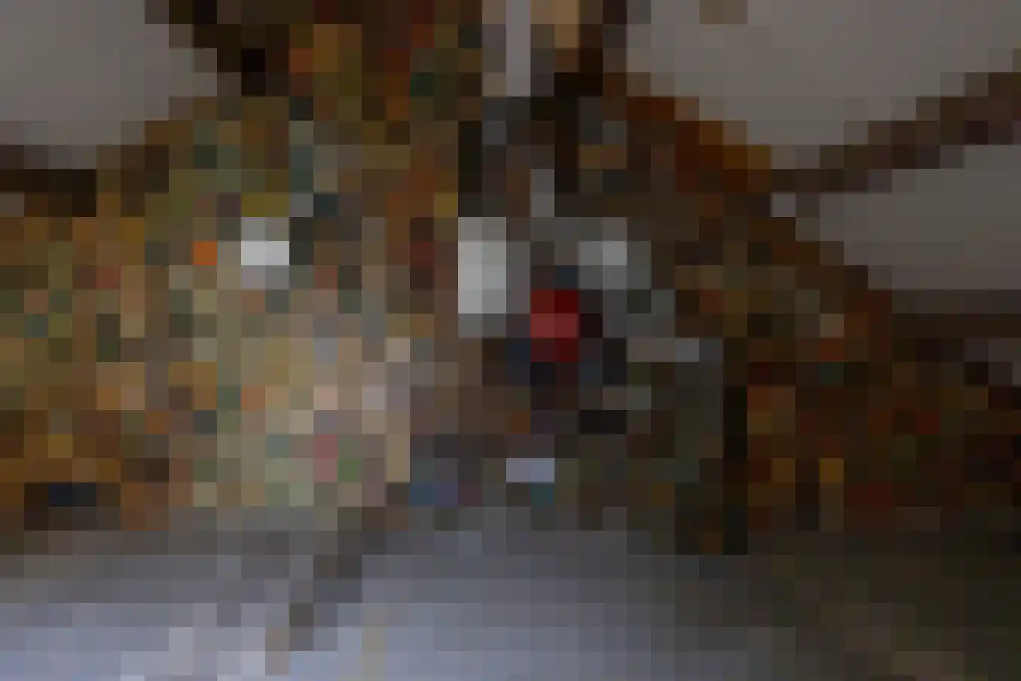 Middelplaat 34 Emmeloord thumbnail 37