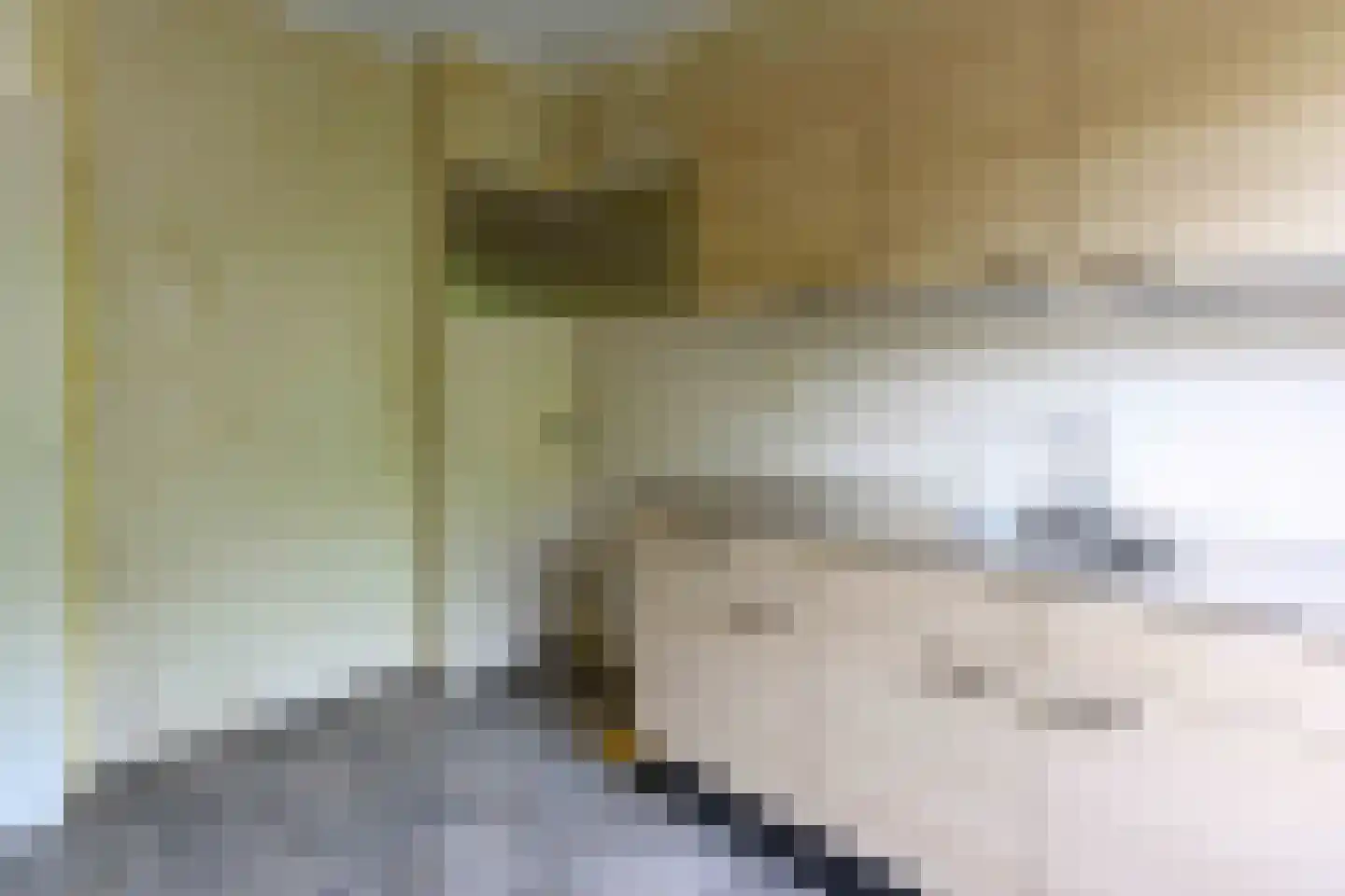 Middelplaat 34 Emmeloord thumbnail 7