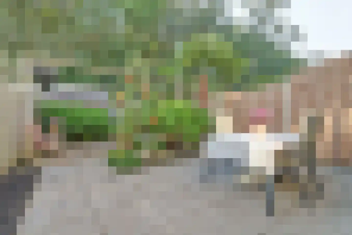 Middelplaat 38 Emmeloord thumbnail 32