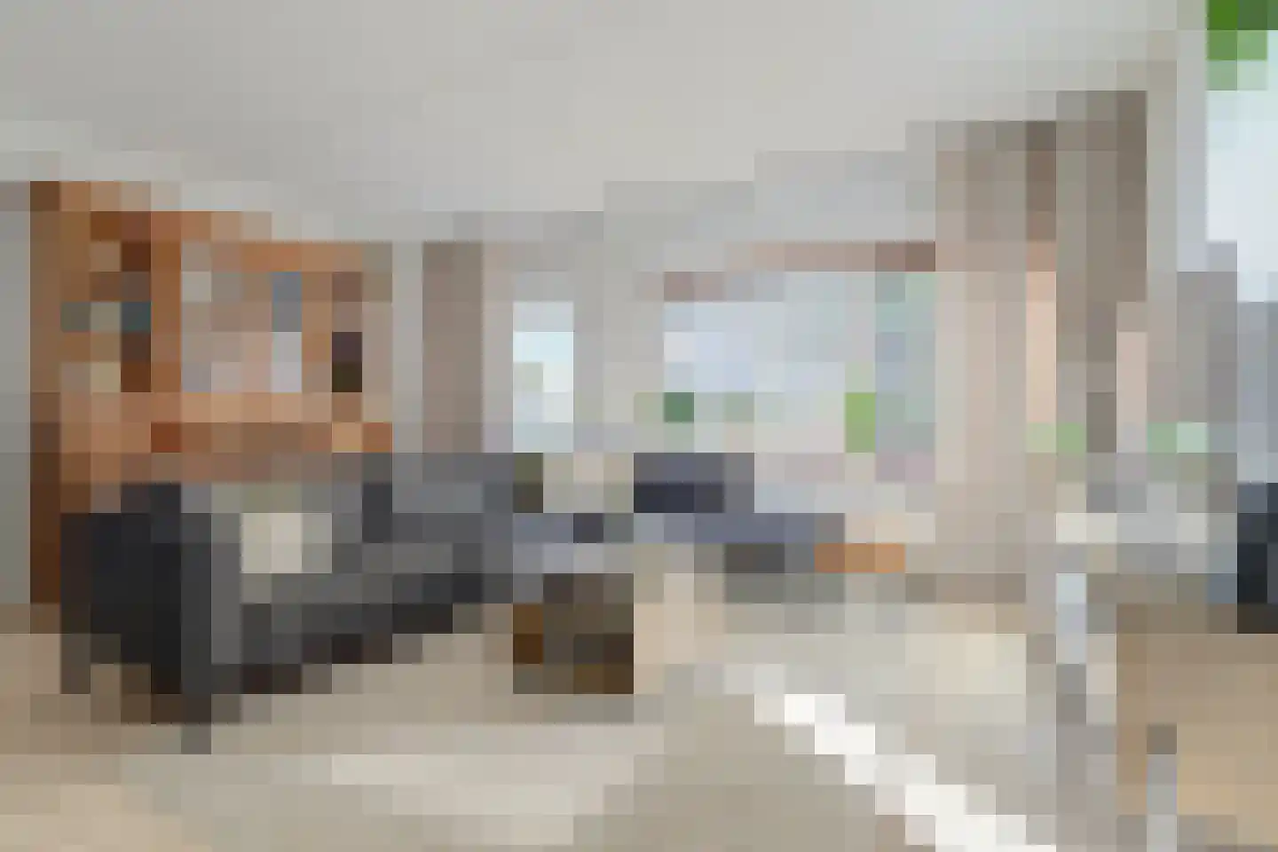 Middelplaat 38 Emmeloord thumbnail 9
