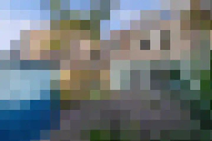 Middelplaat 56 Emmeloord thumbnail 31