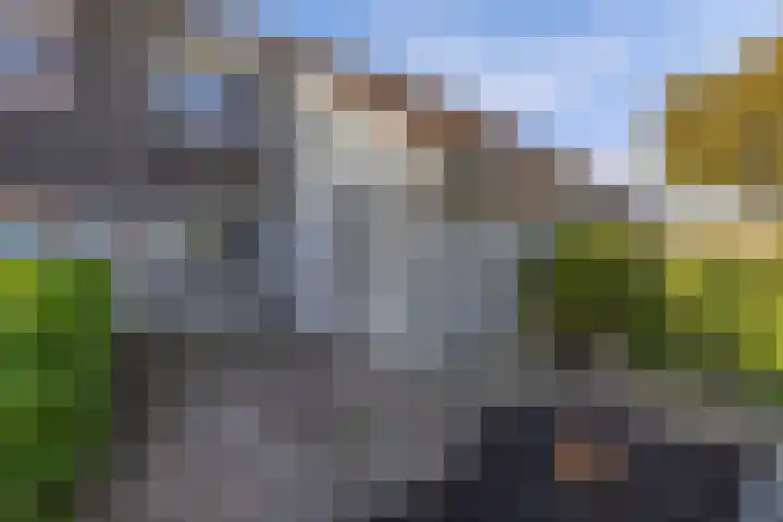Middelplaat 56 Emmeloord thumbnail 6
