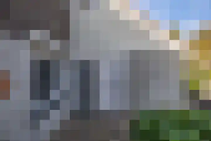 Middelplaat 56 Emmeloord thumbnail 7