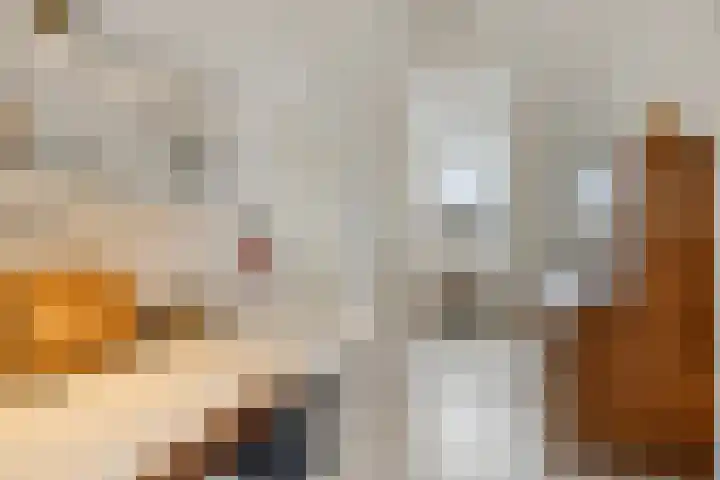 Middelplaten 25 Hoofddorp thumbnail 22