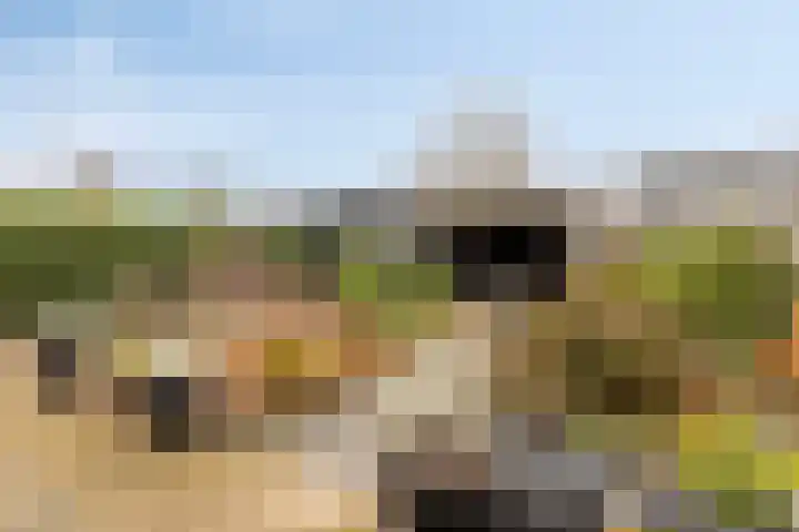 Middelplaten 25 Hoofddorp thumbnail 36