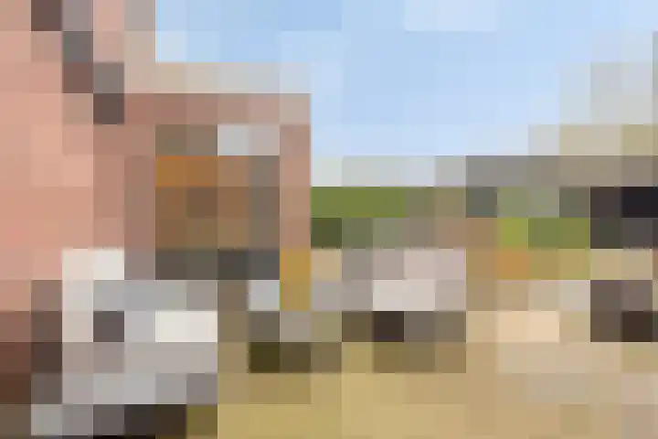 Middelplaten 25 Hoofddorp thumbnail 37