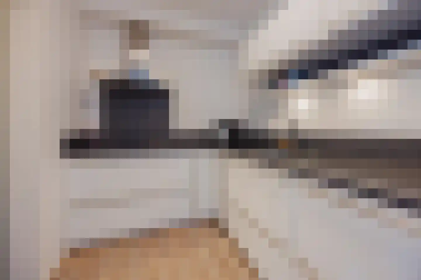 Middelreuvelt 26 Grubbenvorst thumbnail 17