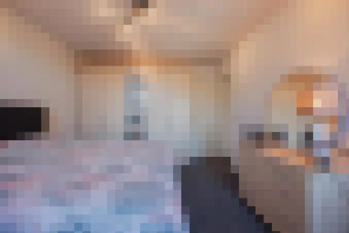 Middelreuvelt 26 Grubbenvorst thumbnail 23