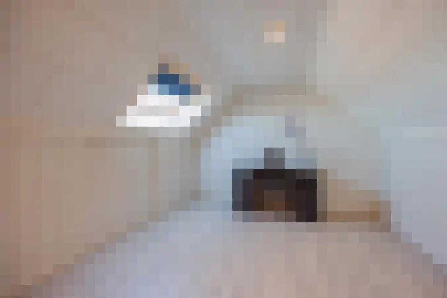 Middelreuvelt 26 Grubbenvorst thumbnail 32