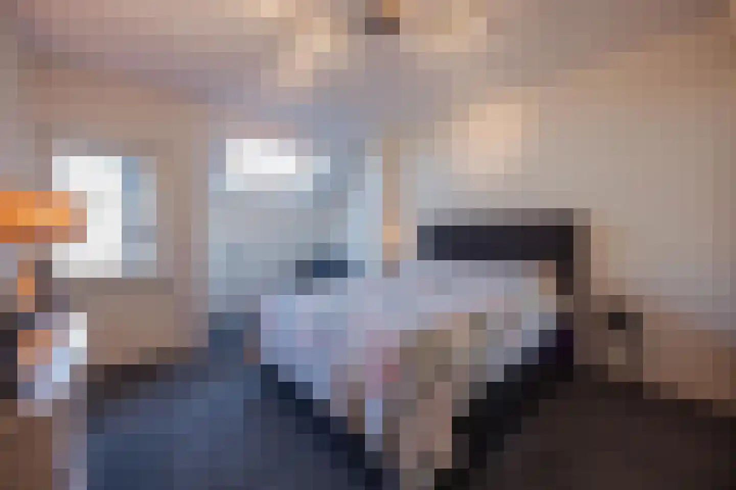 Middelreuvelt 26 Grubbenvorst thumbnail 6
