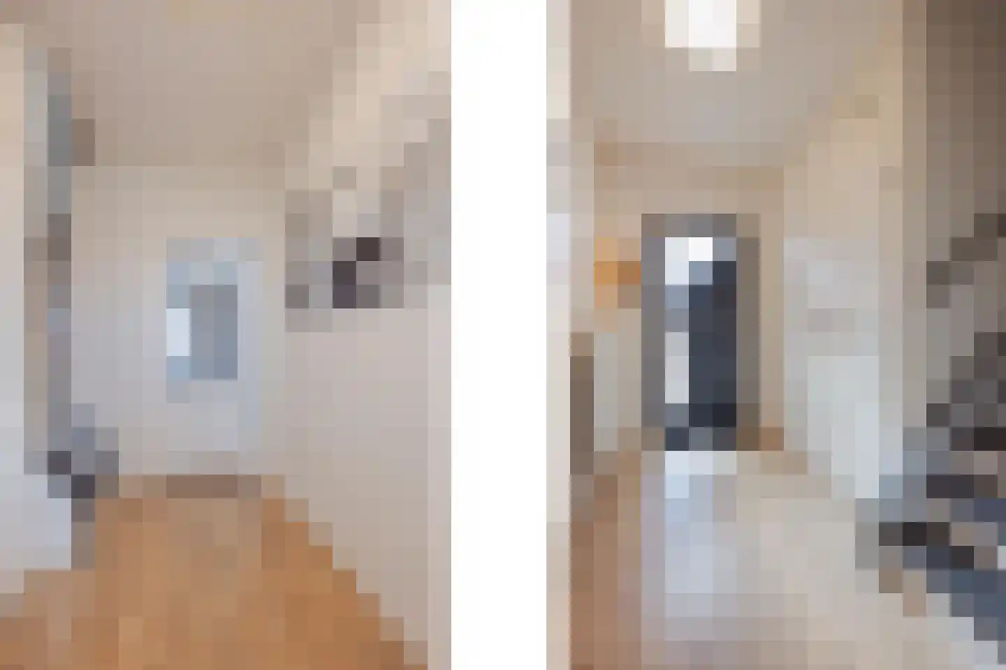 Middelreuvelt 26 Grubbenvorst thumbnail 8