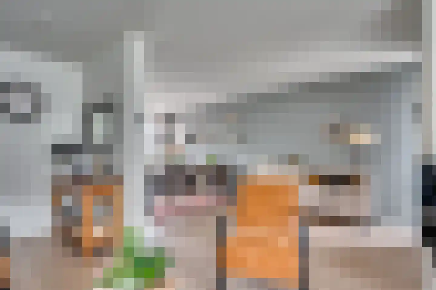 Middelreuvelt 77 Grubbenvorst thumbnail 10
