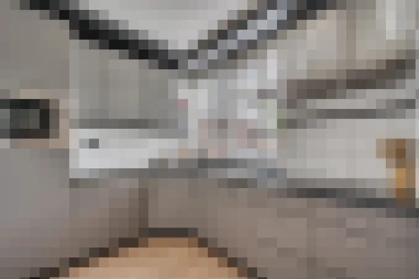 Middelreuvelt 77 Grubbenvorst thumbnail 14