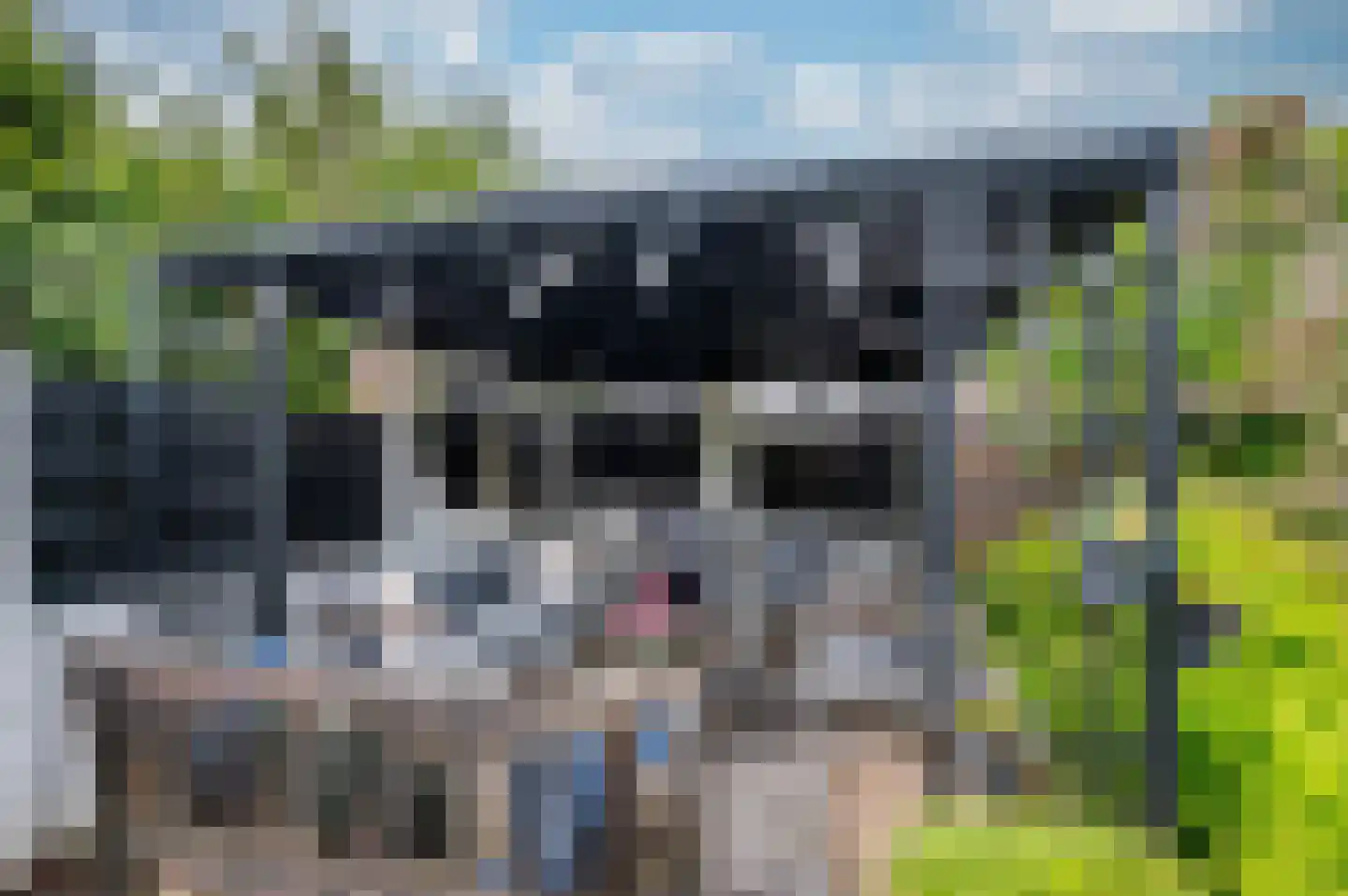 Middelreuvelt 77 Grubbenvorst thumbnail 46