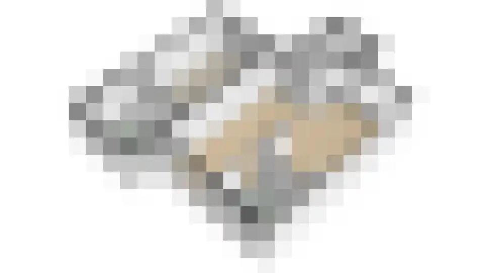 Middelreuvelt 77 Grubbenvorst thumbnail 51
