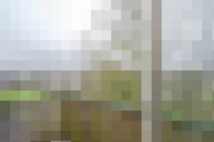 Middelrode 103 Rotterdam thumbnail 22