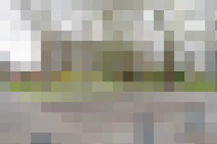 Middelrode 103 Rotterdam thumbnail 27