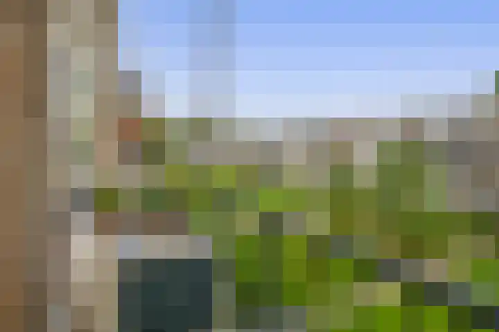 Middelrode 115 Rotterdam thumbnail 22
