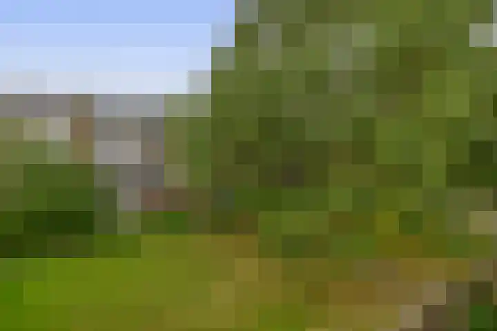 Middelrode 115 Rotterdam thumbnail 23
