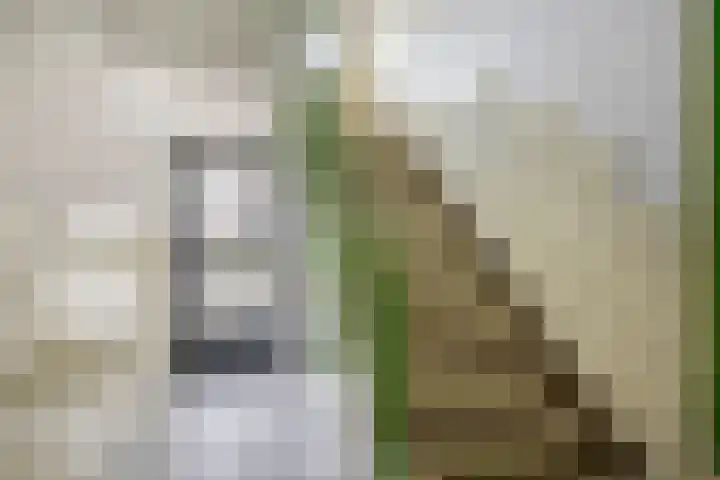 Middelrode 115 Rotterdam thumbnail 30