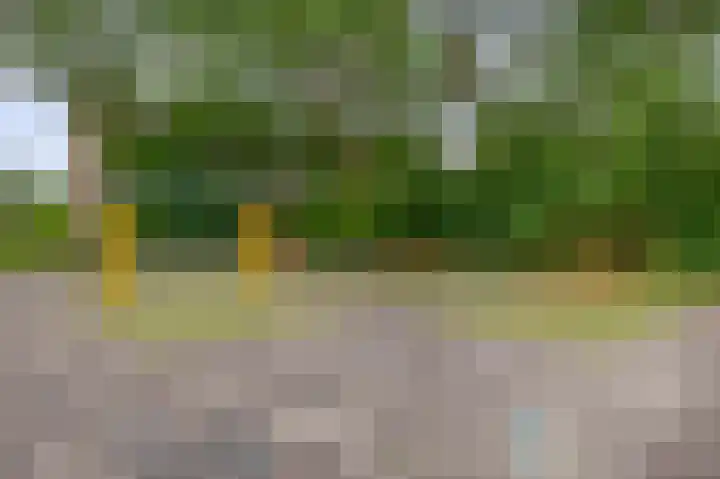 Middelrode 115 Rotterdam thumbnail 31