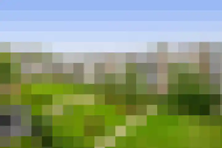 Middelrode 115 Rotterdam thumbnail 5