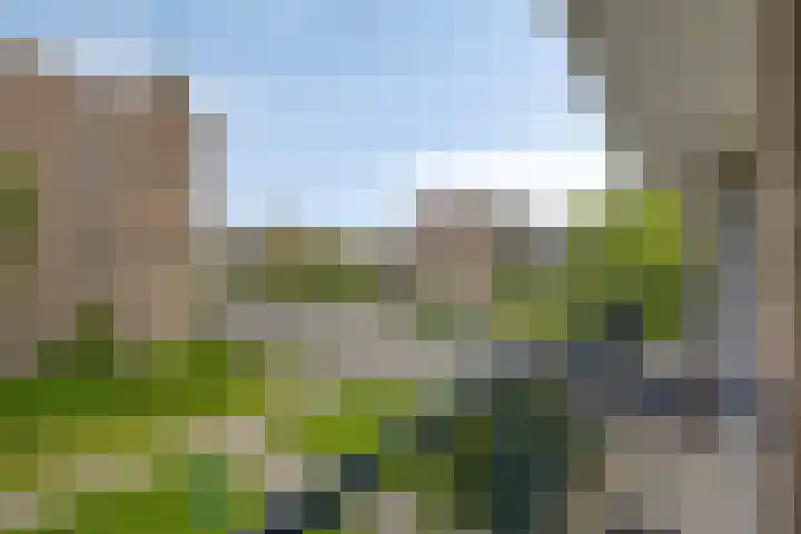 Middelrode 171 Rotterdam thumbnail 18