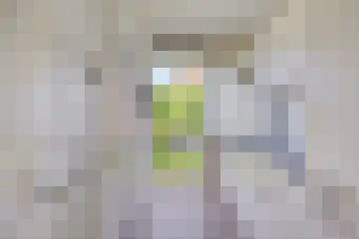 Middelrode 171 Rotterdam thumbnail 4
