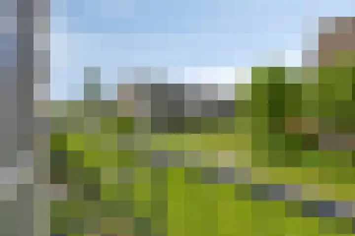 Middelrode 171 Rotterdam thumbnail 5