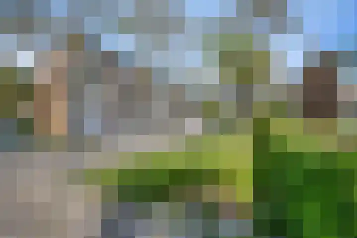 Middelrode 171 Rotterdam thumbnail 6