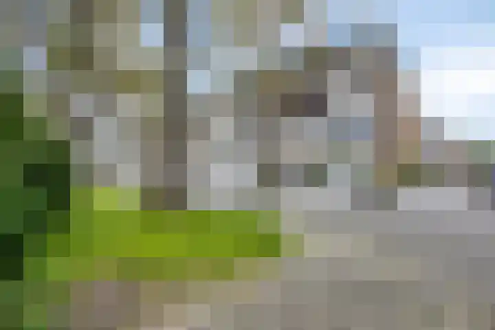 Middelrode 171 Rotterdam thumbnail 7